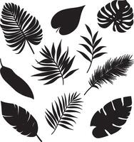 A set of various tropical leaf designs. vector