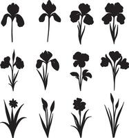 A series of black-and-white illustrations of iris flowers in silhouette form. vector