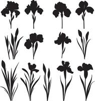 A set of monochrome outlines featuring irises. vector