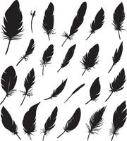 Various feather outlines represented in format. vector