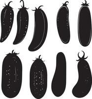 black and white illustration of different types of eggplant vector