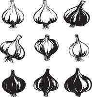 An assortment of garlic types set against a light backdrop. vector