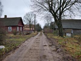 A serene and picturesque landscape featuring a rustic dirt road lined by charming homes under a cloudy sky photo