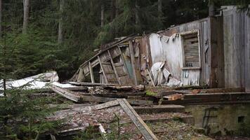 In the midst of the woods, a dilapidated structure stands, perfectly illustrating natures slow reclaiming journey photo
