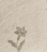 Abstract background with flower shadow. A symbol of interaction, creativity, inspiration and natural beauty. photo