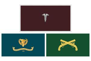 Positional USA Flags Bundle Illustration Premium Quality vector