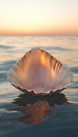 Shell at sunset 3d render photo