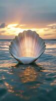 A shell is floating in the ocean at sunset photo