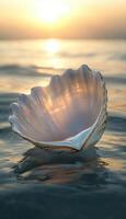 Shell at sunset 3d render photo