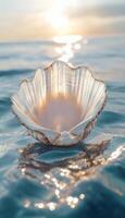 Shell in the sea with the sun setting behind it photo