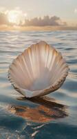 Shell at sunset 3d render photo