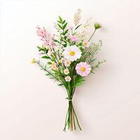 charming bouquet of daisies arranged against a plain background. The flowers are a mix of white and pink hues,few buds yet to bloom. simple and elegant, feel is fresh,cheerful,slightly rustic. photo