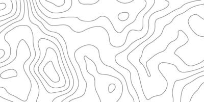 Abstract Terrain Contour Lines on White Background vector