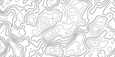 Detailed Topographic Contour Line Pattern on White Background vector