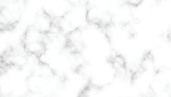 White Marble Texture. High-Quality Seamless Background for Design vector