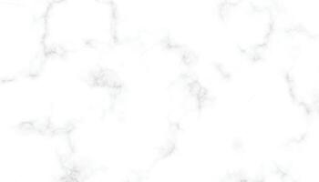 White Marble Texture. Seamless Background for Design and Decor vector