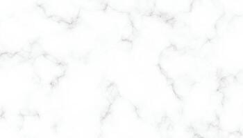 Elegant White Marble Texture Background. High-Quality Seamless Background vector