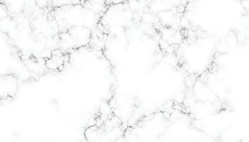 High-Resolution White and Gray Marble Surface for Design vector