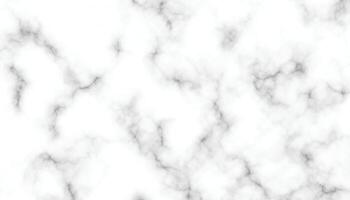 White Marble Texture Background Elegant and High-Quality Marble Pattern vector