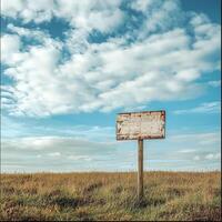 Wooden signpost in a grassy field, paint barely legible, framed by soft clouds and a large empty sky above photo