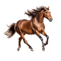 Majestic horse galloping with flowing mane open field wildlife photography natural landscape side view dynamic motion png