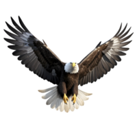 Majestic bald eagle soaring over a serene landscape nature photography vibrant environment aerial view of wildlife png