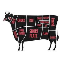 beef meat part. butchery diagram vector