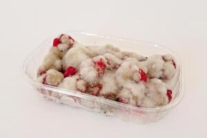Plastic container brimming with moldy raspberries signals poor storage, storage lacking proper temperature, storage allowing rapid spoilage that endangers food safety photo