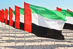 Vibrant display of multiple UAE flags fluttering in the wind on a sandy beach under a clear blue sky, symbolizing patriotism and celebration, perfect for UAE National Day photo