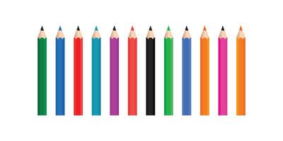 Colorful Pencils Arranged in a Row on White Background. vector