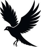 Eagle in flight top view, eagle silhouette. vector