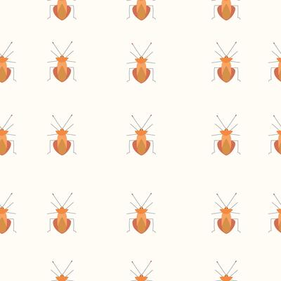 Beetle seamless pattern in flat