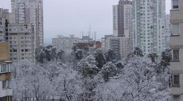 Cityscape With Pine Park Between Multi Storey Apartments At Winter Day After Snowfall photo