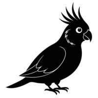 A black and white illustration of a parrot vector