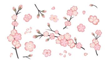 Spring set of sakura flowers isolated on white background. Pink flowers of Japanese cherry, sakura or apple flowers, buds, blossoming sakura branch, flying petals. vector