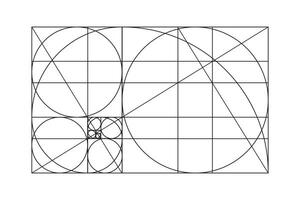 Golden ratio template. Method golden section pattern. Fibonacci array, numbers, shapes mockup. Harmony proportions frame. Outline graphic illustration. vector