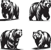 Four Bear Illustrations set vector