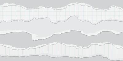 Torn Paper Background. Horizontal shredded pieces of white, squared and lined note paper with soft shadow vector