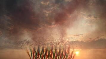 Dusk smoke clouds filled with explosions during a stunning sunset fireworks display over a festival video