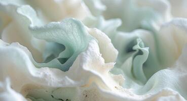 image of natural abstract background closeup photo