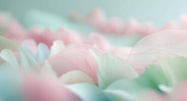 abstract spring background or summer background with fresh. photo