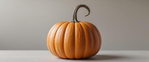 A round orange pumpkin with a long stem on top photo