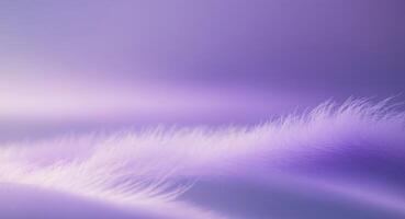 Purple blurred background with a gradient light rays and shadow. photo