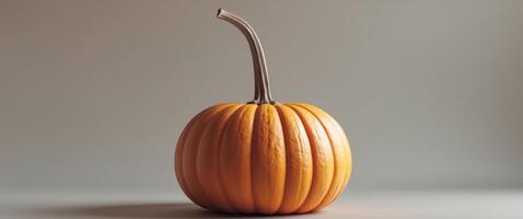 A round orange pumpkin with a long stem on top. photo