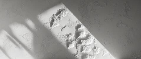 A shadow cast on a wall by the sun photo