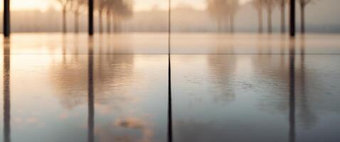 A reflection of trees in a watery area photo