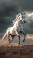 White horse gallops gracefully across sandy terrain under dramatic cloudy sky at dusk photo