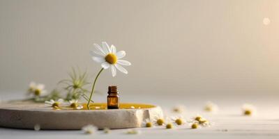 The healing power of chamomile essential oil photo