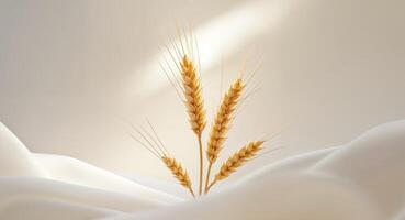 Golden wheat ear on light background with empty copy space representing gluten free lactose free and alcohol free concepts photo