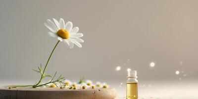 The healing power of chamomile essential oil. photo